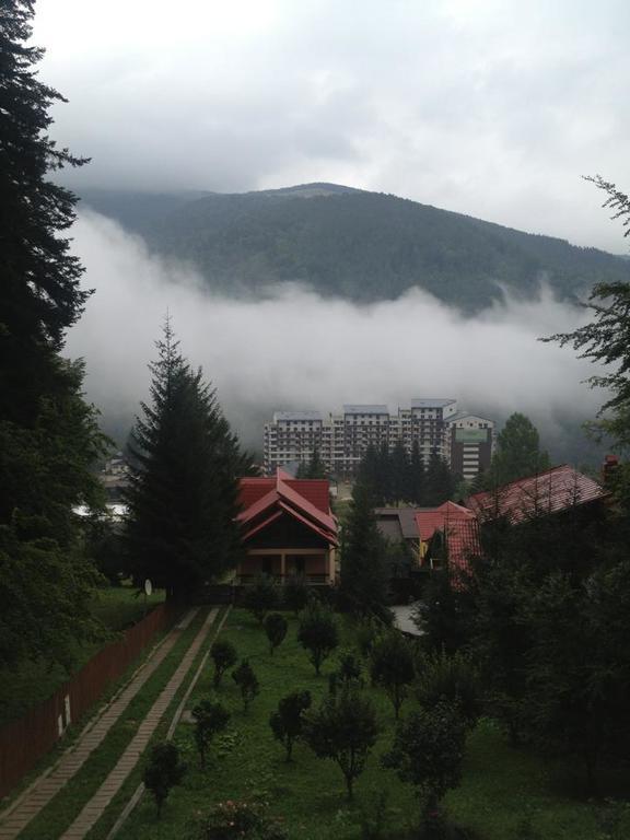 Villa Mara Sinaia Exterior photo