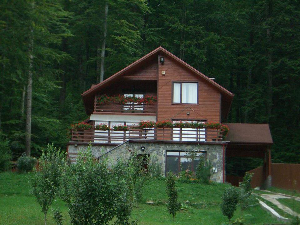 Villa Mara Sinaia Exterior photo